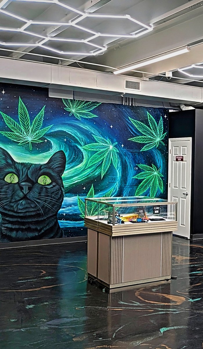 The sales floor at New Brighton Dispensary, looking toward the mural wall